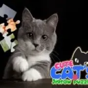 cat wizard defense image