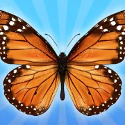 fly or die unblocked image