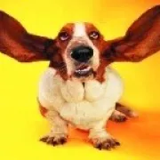 funny shooter games image