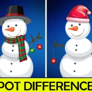 spot the difference image