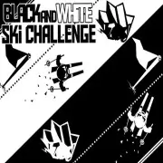 Black & White Ski Ch...