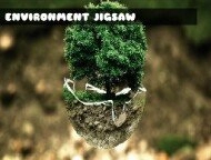 Environment Jigsaw