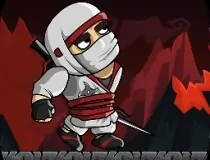 Ninja Warrior Shadow Of ...