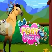 Pony Dress Up