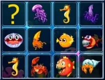 Sea Creatures Cards Matc...
