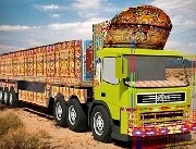 Truck Driver Cargo...