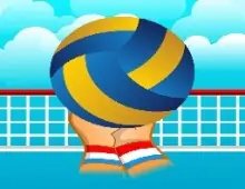 Volleyball Sport G...
